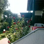 Dafni 3* Limenas (Thasos)
