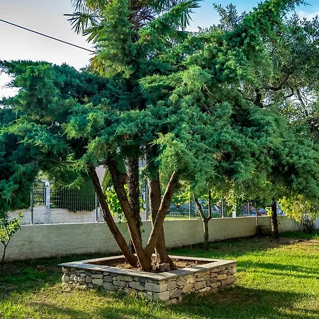 Dafni شقة فندقية