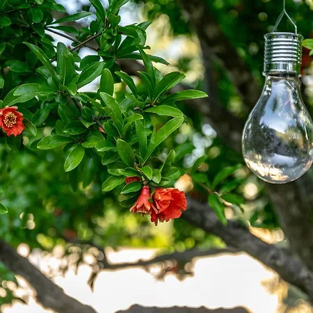 Dafni شقة فندقية لايميناس